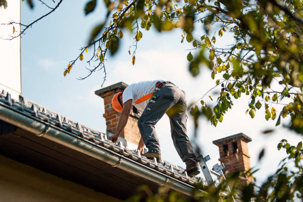 Best Flat Roof Repair Services  in Ller, WA